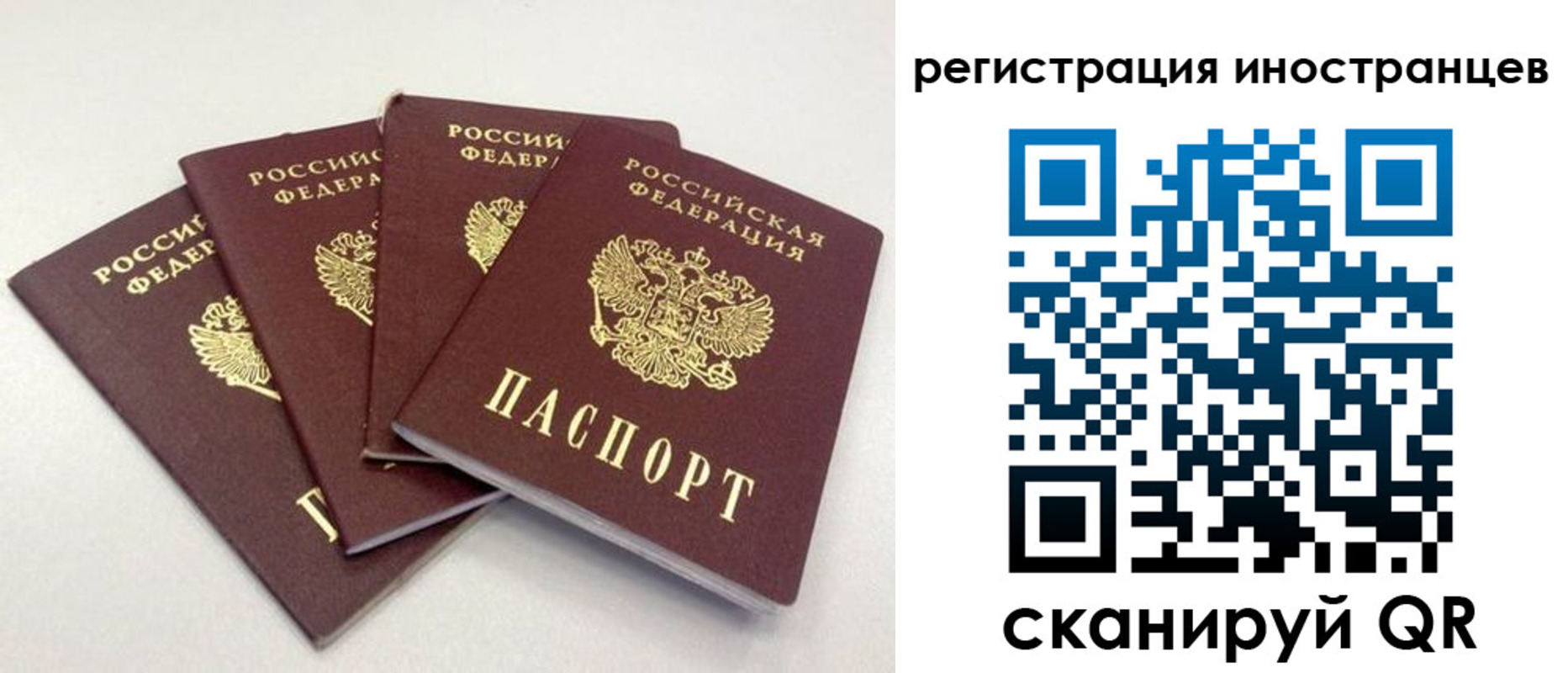 временная регистрация для школы в Изобильном